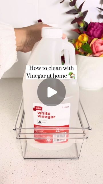 Carolina McCauley on Instagram: "Vinegar is a great non toxic alternative to expensive cleaning products.🍃🧼 #cleaninghacks #homehacks #vinagerhacks #cleaningtips" Vinegar For Cleaning, Carolina Mccauley, Homemade Febreze, Vinegar Uses, Eco Friendly Cleaning Products, Orange Coffee, Vinegar Cleaning, Clean Sink, Cleaning Dishes