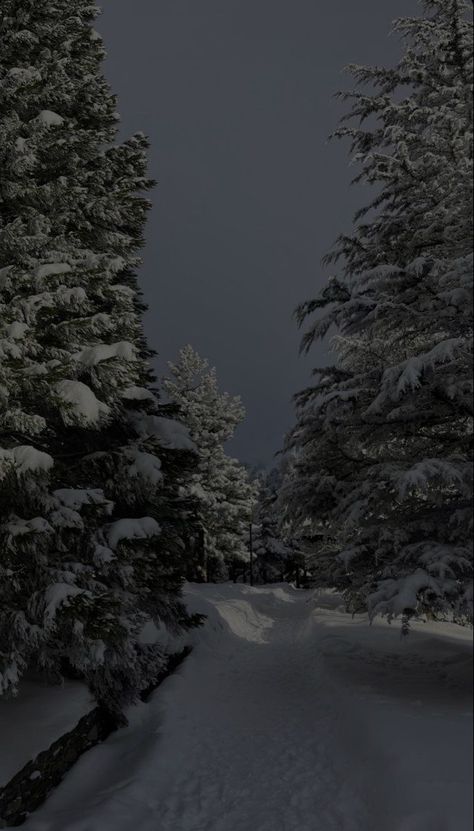 Phone Wallpaper Snow, Dark Winter Aesthetic Wallpaper, Winter Forest Wallpaper, Dark Forest Aesthetic, Snow Night, Iphone Wallpaper Winter, Dark Landscape, Winter City, Dark Christmas