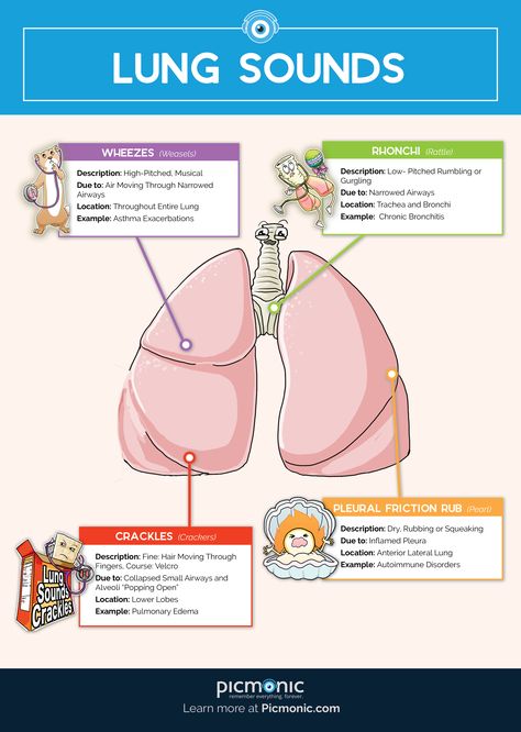 Nursing Basics, Emt Study, Lung Sounds, Memory Retention, Nursing Mnemonics, Nursing Student Tips, Medical Student Study, Cardiac Nursing, Pharmacology Nursing