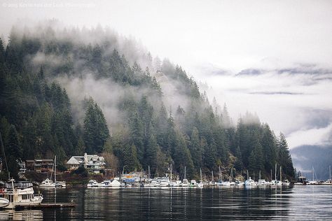 Flower Lungs, Quotes Outdoors, Camping Photography, Blogging Ideas, Cinnamon Girl, North Vancouver, Travel Blogging, Travel Outdoors, January 19