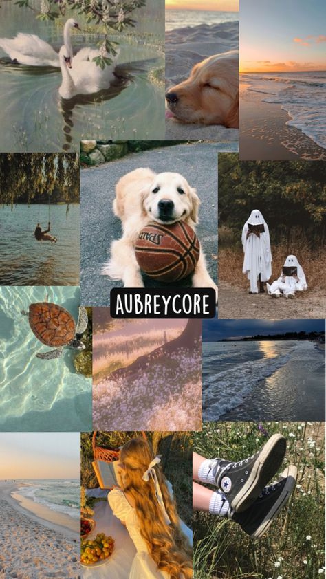 An ‘AubreyCore’ wallpaper for you guys!!! Aubrey Wallpaper, Aubrey Core, Survivor Quotes, Feelings