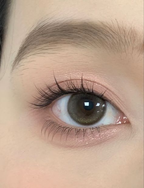 Lash Extensions Natural Asian, Japanese Eyelash Extensions, Korean Lash Extensions, Lashes Asian, Natural Fake Eyelashes, Cute Eye Makeup, Natural Eyelash Extensions, Korean Eye Makeup, Glossy Makeup