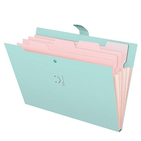 Folder For School, Disney Camp, Paper Accordion, High School Essentials, Expanding File Folder, Manila Folder, Rock Bed, School Suplies, School Folders