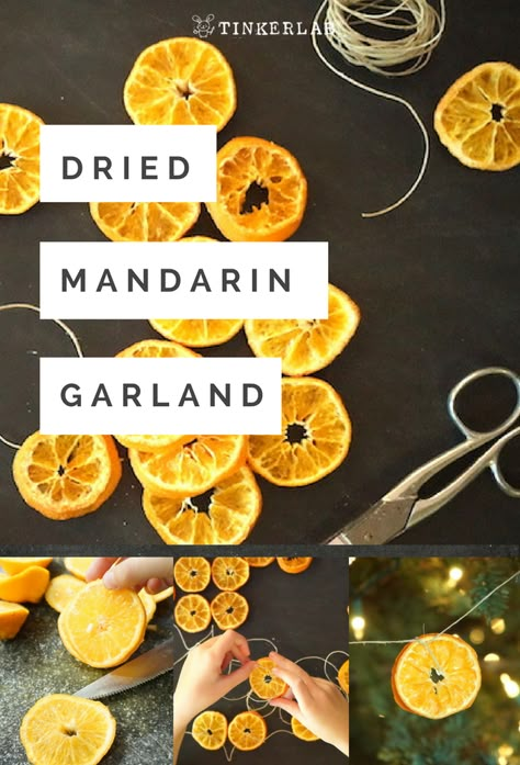 Making dried orange slices is one of the easiest winter crafts, and it hits a home run in my book for it's rustic, down-to-earth charm.  ...  Thanks to @halosfun for the wonderful California mandarins.   .  #goodchoicekid #wonderfulhalos #ad Homemade Garland, Dried Orange Garland, Garland For Christmas, Easy Winter Crafts, Natural Christmas Decor, Christmas Tunes, Dried Orange Slices, Dried Oranges, Christmas Décor