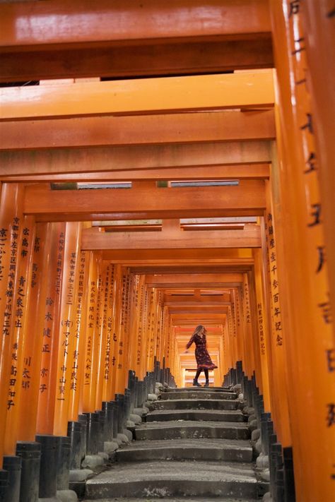 Japan Cover Photo, Kyoto Photography, Fushimi Inari Shrine, Inari Shrine, Fushimi Inari, Tokyo Japan Travel, Kyoto Travel, Japan Travel Tips, Japan Photography