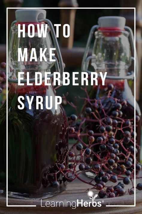 A Simple Recipe for Elderberry Syrup Elderberry Benefits, Herbs For Sleep, Elderberry Syrup Recipe, Elderberry Recipes, Recipe Cards Printable Free, Diy Medicine, Essential Oils For Colds, Ginger Benefits, Elderberry Syrup