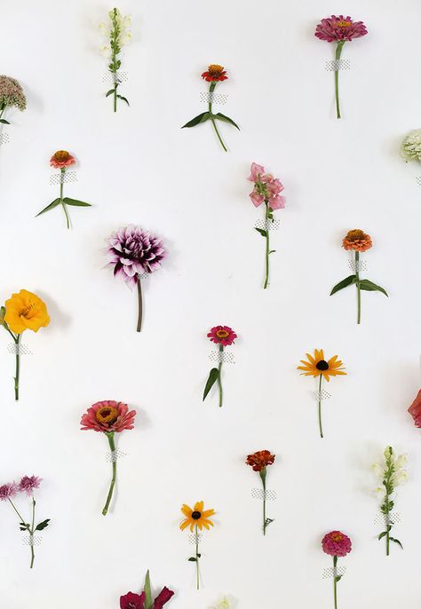 DIY Floral Wall Backdrop - The Merrythought Diy Floral Wall, Floral Wall Backdrop, Diy Wall Tile, Diy Flower Wall, Grass Wall Backdrop, Backdrop Diy, Grass Wall, Light Backdrop, Flower Wall Backdrop