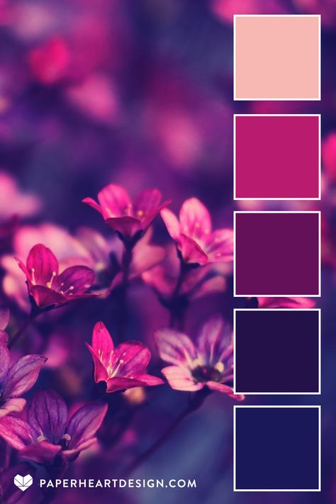 Persephone Colors, Raspberry Colour Palette, Dark Romance Color Palette, Persephone Color Palette, Fuschia Color Combinations, Pmu Aesthetics, Color Palette Mauve, Magenta Color Palette, Color Palette Flowers