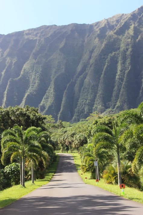 There’s More to Hoʻomaluhia Botanical Garden Than Its Instagrammable Entrance - Hawaii Magazine Honolulu Hawaii Aesthetic, 2024vision Board, Hawaii Mountains, Place Branding, Hawaiian Plants, Hawaii Magazine, Life Manifestation, Oahu Vacation, Landscape Borders