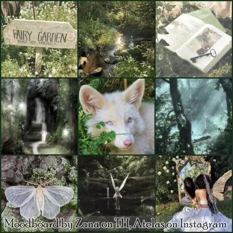 I've always loved making moodboards, so here are a few that I had fun doing. All images come from pinterest, and have a specific theme and species. They are free! use them to create your adopts or oc (no need to credit me until the signature is not removed) Fox Aesthetic, Bus Art, Adopt Idea, Hex Color Palette, Creative Drawing Prompts, Aesthetic Moodboard, Rainbow Aesthetic, Free Use, Mood Board Inspiration