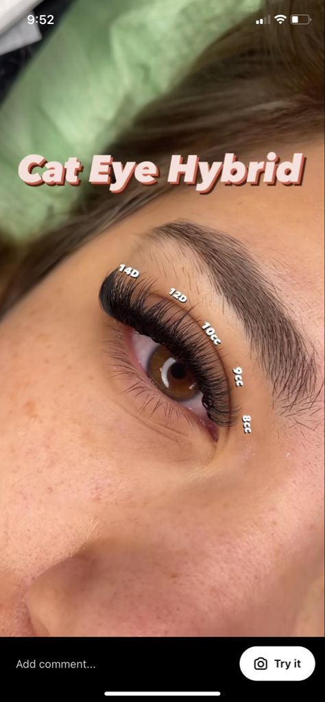 Hybrid Lash Extensions Map Cat Eye, Cat Hybrid Lash Extensions, Types Of Hybrid Lashes, Hybrid Lashes For Small Eyes, Hybrid Lash Extensions Styles For Small Eyes, Cat Eye Light Volume Lash Extensions, Lashes Mapping Cat Eye, Light Volume Lashes Cat Eye, Lash Sets For Big Eyes