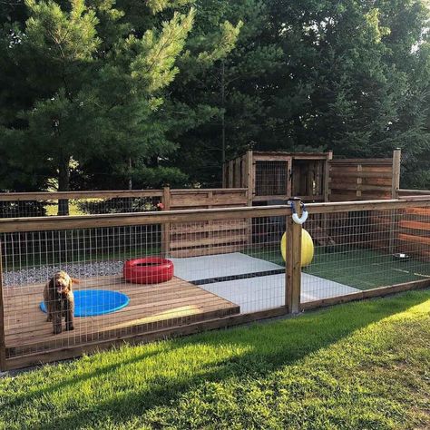 Outdoor Dog Kennel Ideas, Outdoor Dog Area, Outdoor Dog Runs, Diy Dog Run, Backyard Dog Area, Dog Kennel Ideas, Dog Play Area, Kennel Ideas Outdoor, Luxury Dog Kennels