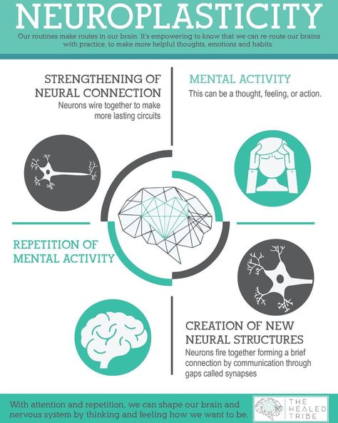 Brain Chat’s Instagram photo: “Neuroplasticity from @the.healed.tribe 🧠🧠🧠 https://www.thehealedtribe.com/blog/2020/1/15/limbic-system-hypersensitivity-pain-fatigue-…” Limbic System Retraining, Limbic System Brain, Neural Plasticity, Neuroplasticity Exercises, Endocrine System Hormones, Brain Chemicals, Neural Pathways, Multiple Chemical Sensitivity, Psychology Notes