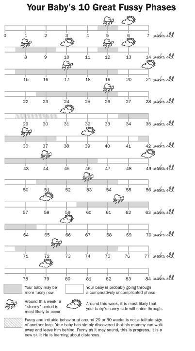 Baby fussiness chart... The wonder weeks Wonder Weeks Chart, Wonder Weeks, Baby Information, Baby Schedule, Baby Growth, Baby Advice, Foto Baby, Baby Prep, Newborn Care