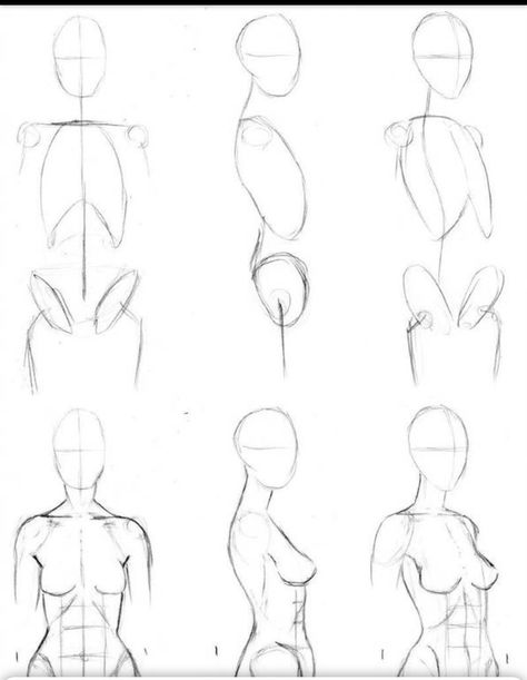 Body Structure Drawing Human Figures, How To Draw A Figure Step By Step, Body Step By Step Drawing, Anatomy Female, Drawing Anime Bodies, Drawing Female Body, Art Painting Tools, Body Drawing Tutorial, Human Anatomy Art