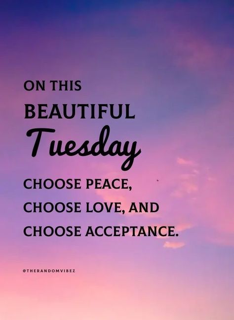 Tuesday Vibes Quotes, Happy Tuesday Quotes Inspiration Wisdom, Choose Day Tuesday Quotes, Tuesday Night Quotes, Beautiful Tuesday Quotes, Tuesday Mantra, Tuesday Captions, Motivational Tuesday Quotes, Fun Captions