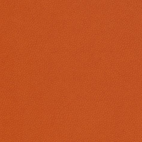 Cleaning With Peroxide, Burnt Sienna, Orange Wallpaper, Color Naranja, Flower Phone Wallpaper, Orange Background, Amber Color, Color Swatch, Saturated Color