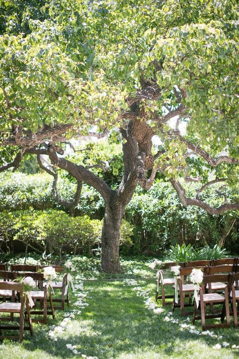 Backyard Wedding Under Tree, Ceremony Under Tree Decor, Wedding In Front Of Tree, Under Tree Wedding, Tree Ceremony Wedding, Backyard Ceremony Ideas, Wedding Ceremony Under Tree, Tiny Wedding Ceremony, Ceremony Under Tree