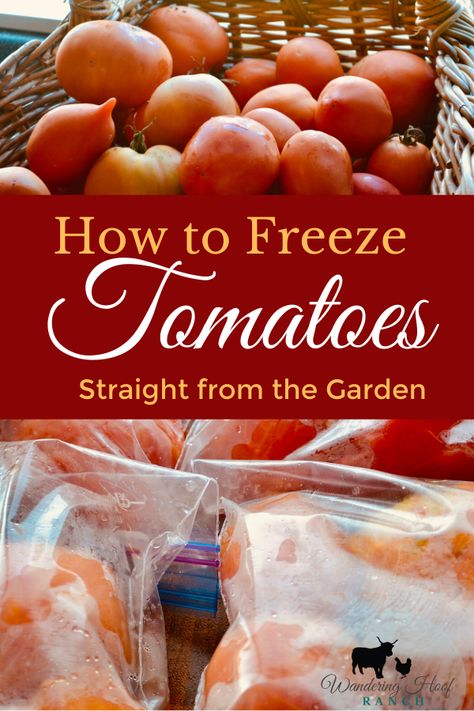 How To Preserve Tomatoes, How To Freeze Tomatoes, Canning Tomato Juice, Preserve Tomatoes, Freezing Tomatoes, Preserving Tomatoes, Freezing Vegetables, Fresh Tomato Recipes, Stewed Tomatoes