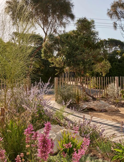 Dutch Gardens, Coastal Garden, Australian Native Garden, Victorian Garden, Australian Garden, Coastal Gardens, Beach Shack, Native Garden, Magical Garden