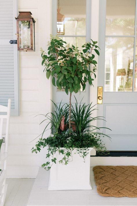 Shutters Repurposed Decor, Front Door Planters, Farmhouse Shutters, Rustic Shutters, Front Porch Makeover, Diy Shutters, Building A Porch, Porch Makeover, Gal Meets Glam