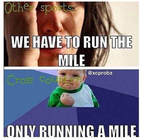 o true! At my last meet, we only had to run a mile! My next meet is a 2 mile. NOOOOO!! Cross Country Memes, Cross Country Quotes, Xc Running, Track Quotes, Running Memes, Cross County, I Love To Run, Running Jokes, Running Track