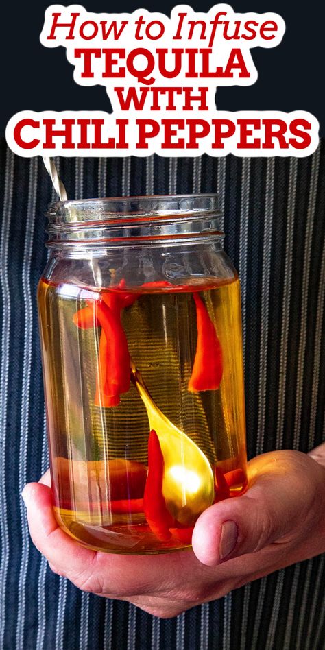 Learn how to infuse tequila with chili peppers - like jalapeno infused tequila, by steeping peppers in tequila. Great for making fun, spicy cocktails for your next fiesta. #chilipepperinfusedtequila #infusedtequila Jalapeno Infused Tequila, Spicy Cocktails, Spicy Margarita Recipe, Infused Tequila, Tequila Recipe, Chili Pepper Recipes, Tequila Day, Spicy Buffalo Chicken, Spicy Drinks