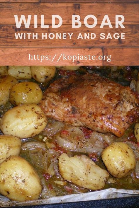 Boar Recipes, Roasted Hog, Wild Cooking, Wild Boar Recipes, Roasted Pork Tenderloin Recipes, Greek Kitchen, Roasted Pork Tenderloins, Wild Hog, Game Recipes