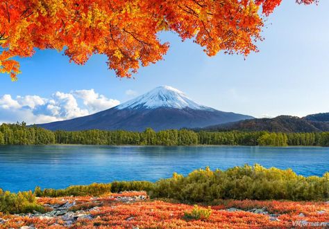 Church Backgrounds, Monte Fuji, Watercolor Beginner, Green Pictures, Background Images Wallpapers, Forest Wallpaper, Beautiful Flowers Wallpapers, Desktop Backgrounds, Autumn Landscape