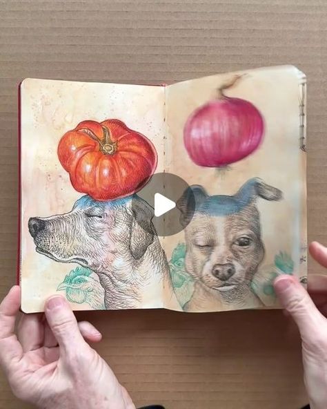 T O M M Y  K A N E  🐿 on Instagram: "Painstakingly illustrating every page of a Moleskine sketchbook is not the hard part, filming the stupid flip through video when I’m done is the most frustrating job. I shot the video several times over many days and it always takes 20 tries to get it right. The light is not quite right, it crops weirdly, or some unforeseen mishap occurs. I finally had to purchase a heavy-duty overhead phone stand. That did the trick. I’m even mildly pleased with myself. Now when I’m drawing somewhere and people ask to see my sketchbook, I hand them this finished one instead. I keep it hidden in my knapsack. Their eyes bug out a little and they move away from me a bit so they don’t catch whatever neurosis I have. I realize it’s hard to see all my drawings at high speed Visual Journals, Moleskine Sketchbook, My Sketchbook, Hard Part, Visual Journal, My Drawings, Phone Stand, Moleskine, High Speed