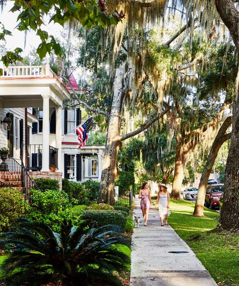 Charleston Aesthetic, Southern Aesthetic, Diamondback Rattlesnake, Beaufort South Carolina, South Carolina Vacation, Girlfriends Getaway, Southern Life, Beaufort Sc, Hilton Head Island