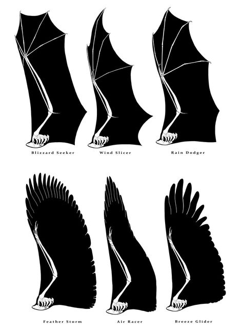 Dragon Wings by SammyTorres Wing Anatomy, Dragon Anatomy, Creaturi Mitice, Wings Drawing, Výtvarn�é Reference, Dragon Sketch, Performance Costume, Idee Cosplay, Creature Drawings