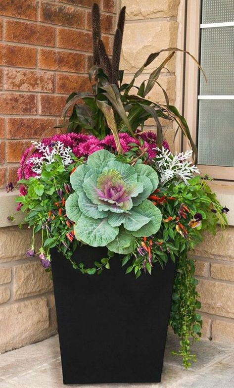 15 Elaborate Fall Planter Ideas 2021! Four Generations One Roof Fall Pots, Diy Container Gardening, Container Herb Garden, Fall Container Gardens, Ornamental Cabbage, Fall Mums, Fall Containers, Container Garden Design, Container Gardening Flowers