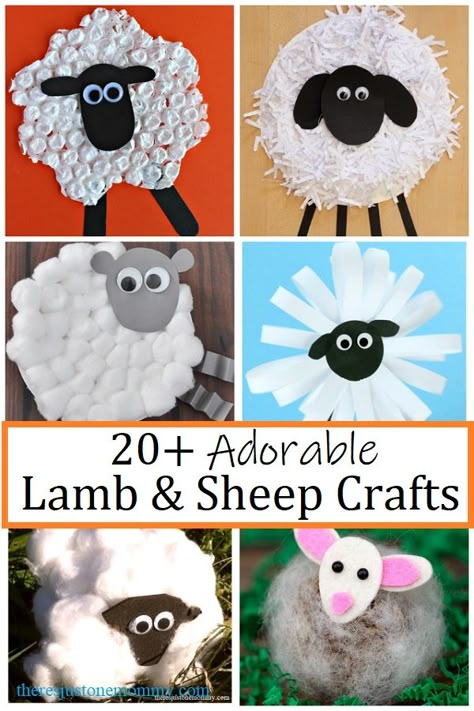 lamb and sheep crafts for kids #springcrafts #kidscrafts #sheep Sheep Crafts For Kids, Lamb Crafts, Lamb Craft, Timmy Time, Farm Animal Crafts, Farm Craft, Sheep Crafts, Farm Crafts, Spring Crafts For Kids