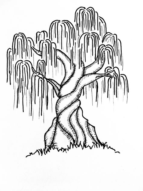 #penart #willow Willow Illustration, Willow Drawing, Willow Tree Drawing, Weeping Willow Tattoo, Willow Tattoo, Willow Tree Art, Tree Drawing Simple, Willow Tree Tattoos, Tree Outline