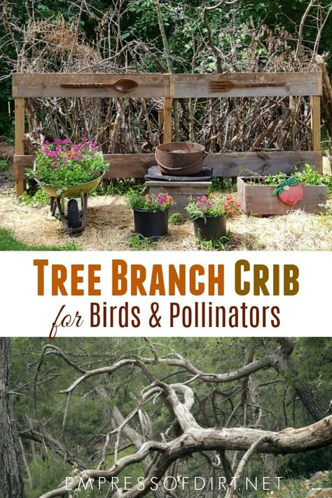 Old tree branches and twigs provide essential habitat in your garden and return organic matter as they decay. #organicgardening #branches #empressofdirt Old Tree, Wildlife Gardening, Pollinator Garden, Creative Gardening, Diy Garden Projects, Natural Garden, Backyard Birds, Organic Matter, Tree Branch