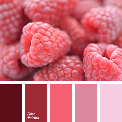 bright pink, color of raspberry, dark magenta, dark pink, designer palettes, designer's combination of colors, gentle pink, light pink In Color Balance, Color Generator, Color Concept, Warm Palette, Outfit Red, Palette Design, Design Seeds, Color Balance, Color My World