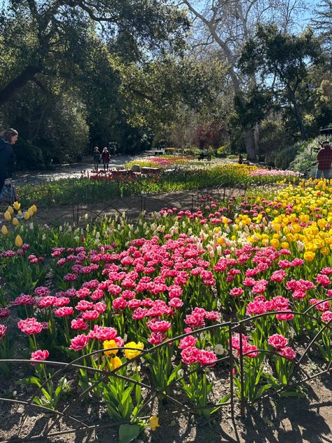 #descanso #gardens Descanso Gardens, Quince, Mood Board, Notebook, Angeles, California, Bed, Flowers, Music