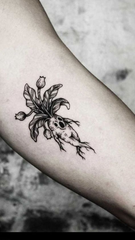 Dark Plant Tattoo Ideas, Mossy Skull Tattoo, Goth Garden Tattoo, Flowers With Skulls Tattoo, Filler Tattoo Ideas Gap Nature, Spooky Linework Tattoo, Goth Plant Tattoo, Spooky Fairy Tattoo, Gothic Plant Tattoo