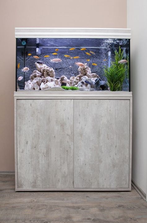 30 Gallon Fish Tank: Setups, Stocking Ideas, Equipment And More… - Fishkeeping World Modern Aquarium Stand, 50 Gallon Fish Tank Ideas, Bathroom Aquarium, Fish Pots, 30 Gallon Fish Tank, Modern Fish Tank, Aesthetic Fishing, Big Fish Tanks, Fish Tank Wall