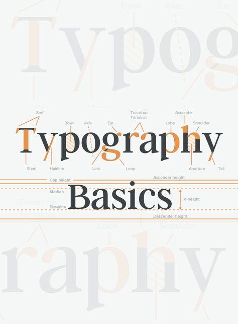 Free Typography Basics Cheatsheet: Anatomy, Classification & Special Terms Typography Basics, Anatomy Basics, Typography Anatomy, Typography Terms, Banner Web Design, Free Typography, Type Anatomy, Font Love, Typographie Inspiration