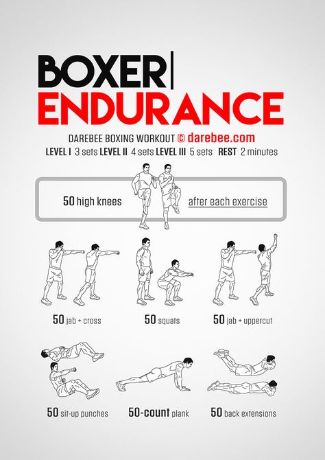 Boxer Endurance Workout - Concentration - Full Body Boxer Workout, Agility Workouts, Fighter Workout, Boxing Training Workout, Workout Fat Burning, Boxing Techniques, Boxing Drills, Superhero Workout, Speed Workout