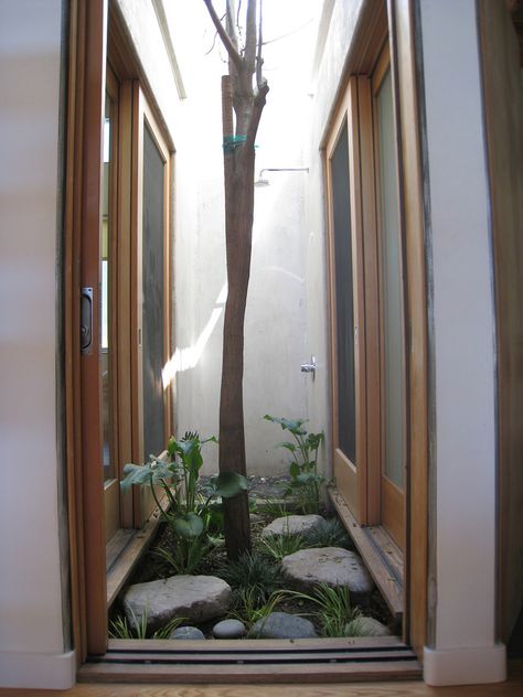 An internal pocket courtyard acts as a light well, open air shower, and 'solar chimney'. Working as a solar chimney the courtyard allows heat to escape up the vertical space, drawing cool air into the house through the oversize sliding glass doors that open up both ends of the house. This kind of passive/non-automated, climate control method gives the home’s occupants an interactive relationship with their microclimate that lessens their dependence on the carbon hungry air conditioning sys... Artistic Tree, Indoor Courtyard, Pocket Garden, Interior Design Gallery, Inside House, Courtyard Design, Internal Courtyard, Small Courtyards, Light Well