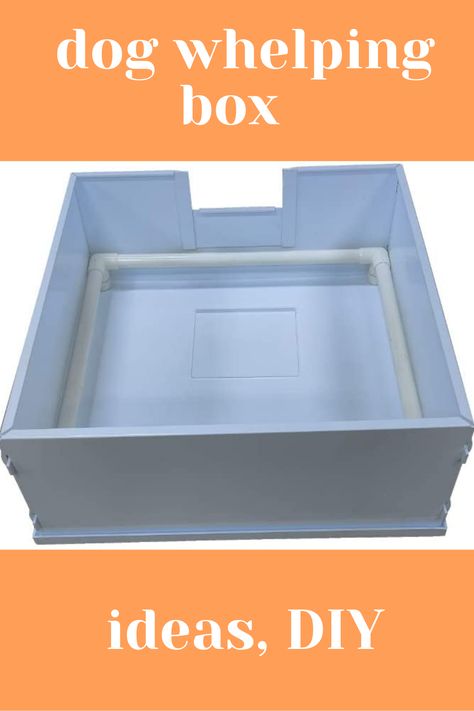 Image of a greyish white plastic whelping box against a white background equipped with pig rails for dog moms and their puppies so they can feel safe and warm. The pig rails are meant to protect the puppies from getting crushed by their mom. Above the image there is a phrase in white letters on a deep tan colored background that reads "dog whelping box" and below the image there is a phrase in white letters against a deep tan colored background that reads" ideas, diy". Dog Whelping Box Ideas, Dog Whelping Box Ideas Diy, Diy Whelping Box For Dogs, Whelping Box Diy, Welping Box Ideas Puppies, Welping Box Ideas Diy Dog, Whelping Box Ideas, Welping Box, Dog Whelping