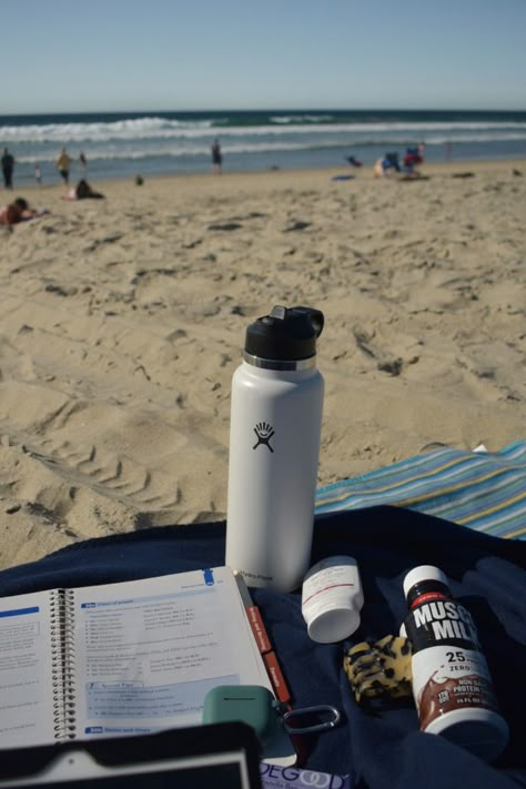 Studying On The Beach Aesthetic, Beach University Aesthetic, School On The Beach, Beach Study Aesthetic, Studying At The Beach, College Beach Aesthetic, Studying Marine Biology Aesthetic, College On The Beach, College By The Beach