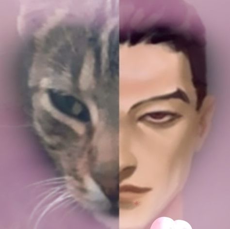 khada jhin from league of legends as my stupid deranged cat Bobi #jhin League Of Legends Funny, League Of Legends Icons, League Of Legends Meme, League Of Legends Jhin, League Of Legends Boards, Jhin League Of Legends, I Need A Hobby, Lol Champions, League Of Legends Memes