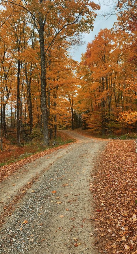 Love Fall at the house in Vermont! Vermont Living, Vermont In The Fall, Vermont House, House Living Room, Fall Inspo, Love Fall, Well Dressed Men, Future Life, Driveway