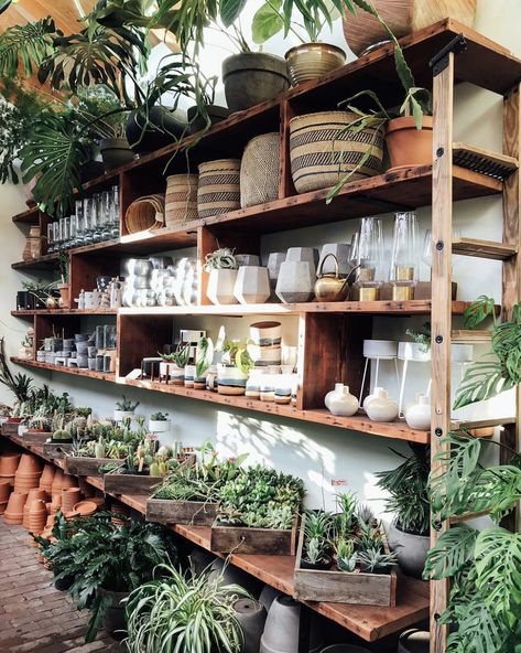 Nice shelving Flower Shop Display, Garden Center Displays, Flower Shop Interiors, Flower Shop Design, Florist Shop, Garden Nursery, Garden Store, Floral Shop, Garden Shop