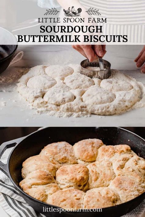 Sourdough Biscuits Recipe, Sourdough Biscuits, Recipe Using Sourdough Starter, Overnight Recipes, Dough Starter, Sourdough Starter Discard Recipe, Homemade Sourdough Bread, Bread Starter, Sourdough Starter Recipe