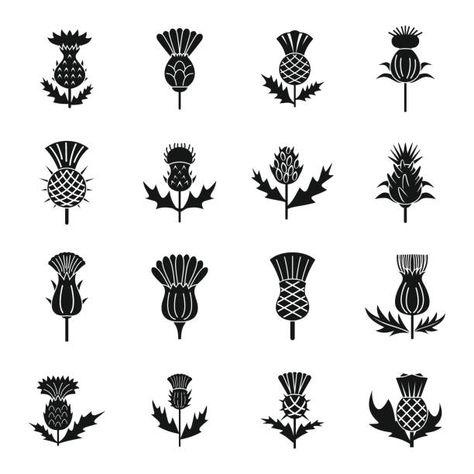 Thistle Tattoo Black, Thistle Drawing, Thistle Logo, Thistle Flower Tattoo, Scottish Thistle Art, Scotland Tattoo, Scottish Thistle Tattoo, Scottish Tattoo, Scottish Tattoos